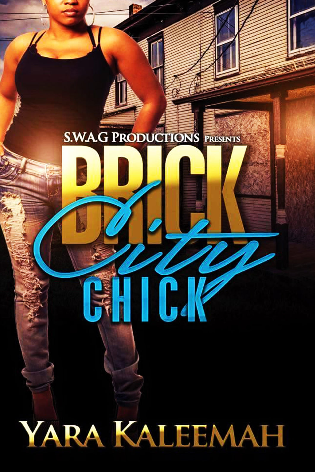 Brick City Chick Complete Series
